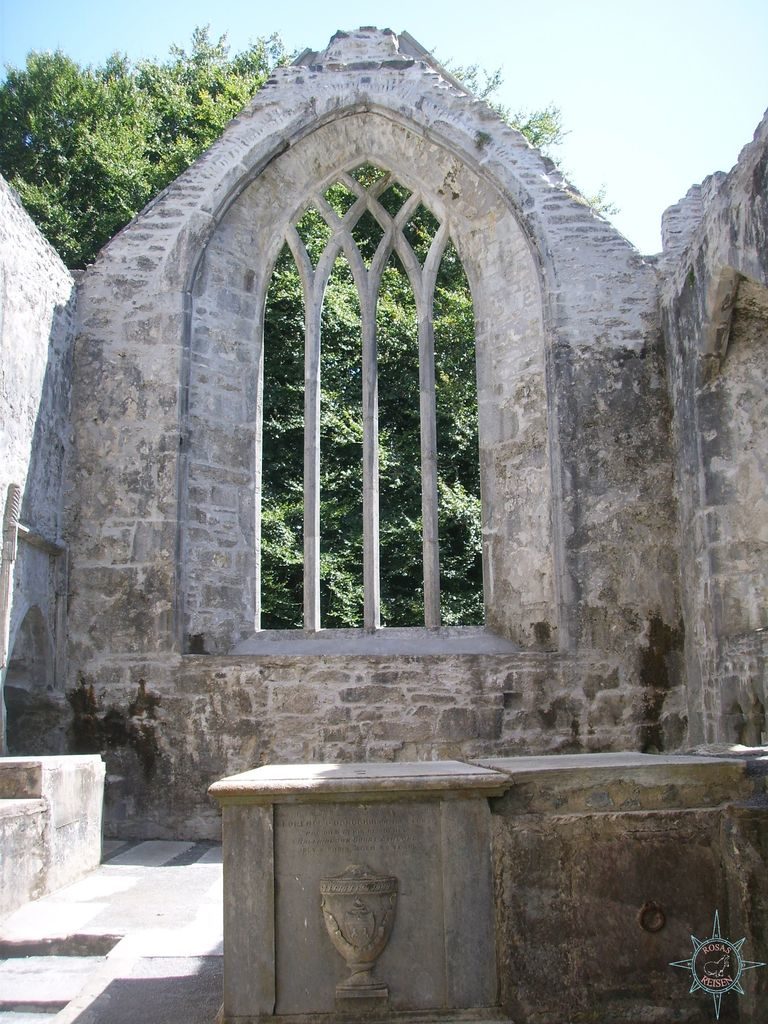 Rosas Reisen Reiseblog Irland Friedhof Muckross Abbey Killarney National Park