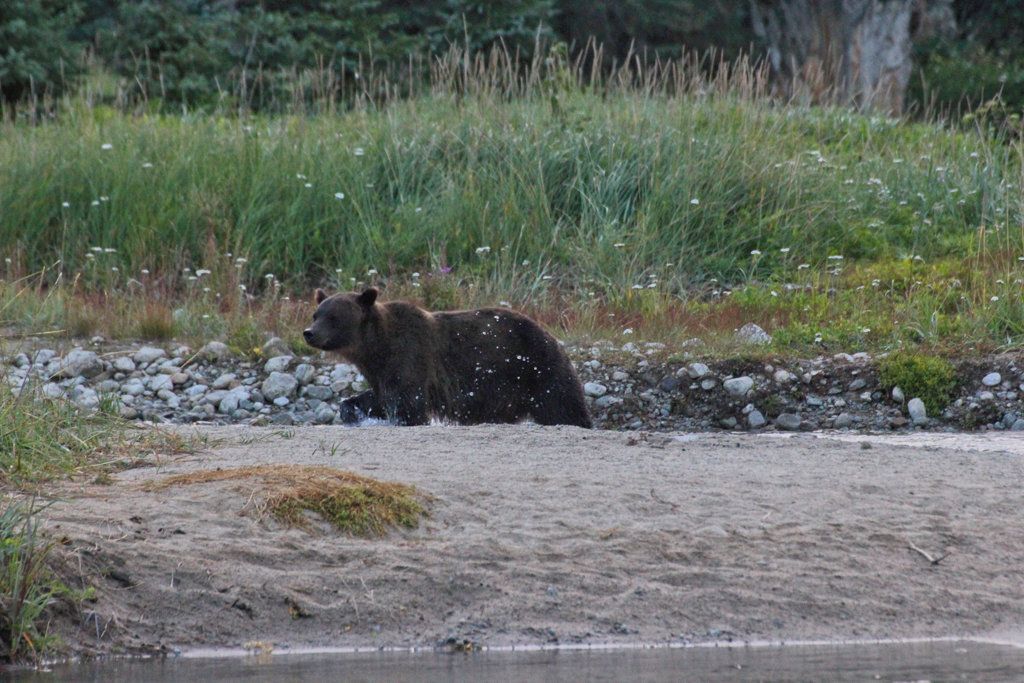 Skagway03