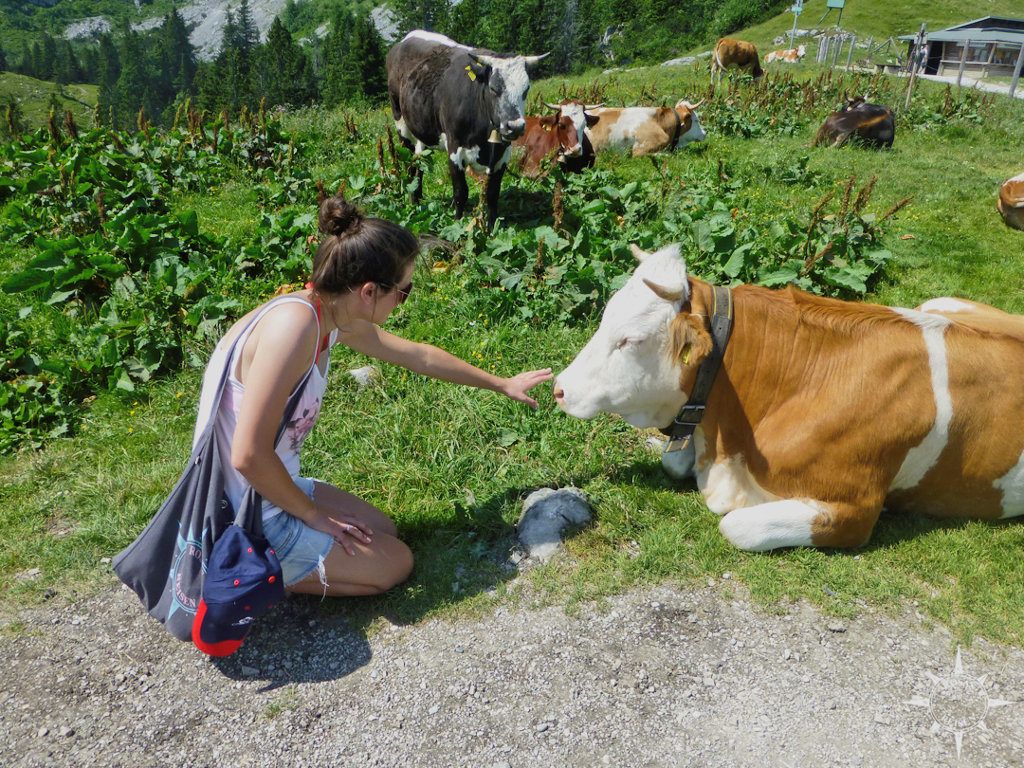 Annäherungsversuch