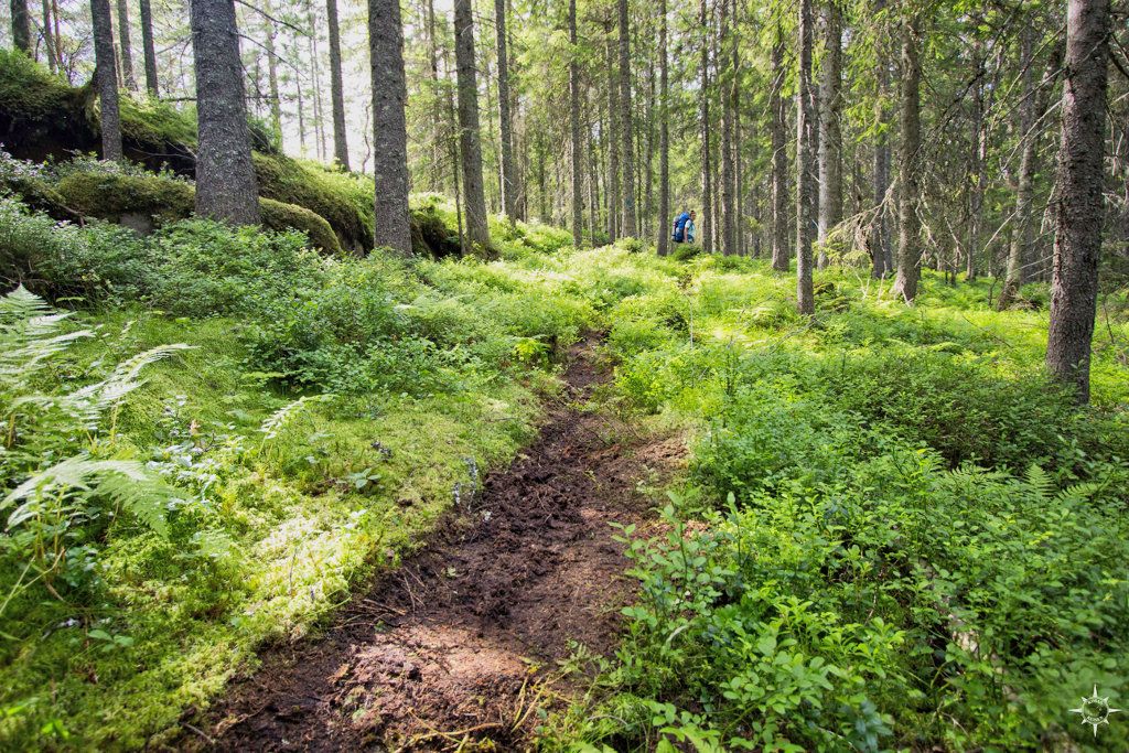 Skuleskogen National Park