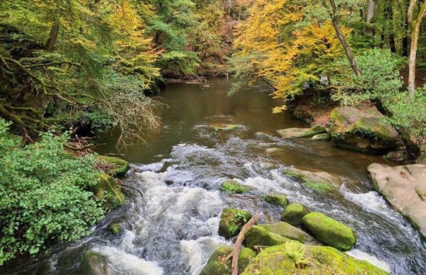 Irreler wasserfälle Teufelsschlucht Eifel