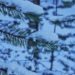 Finnland Langlaufski Winter Schnee