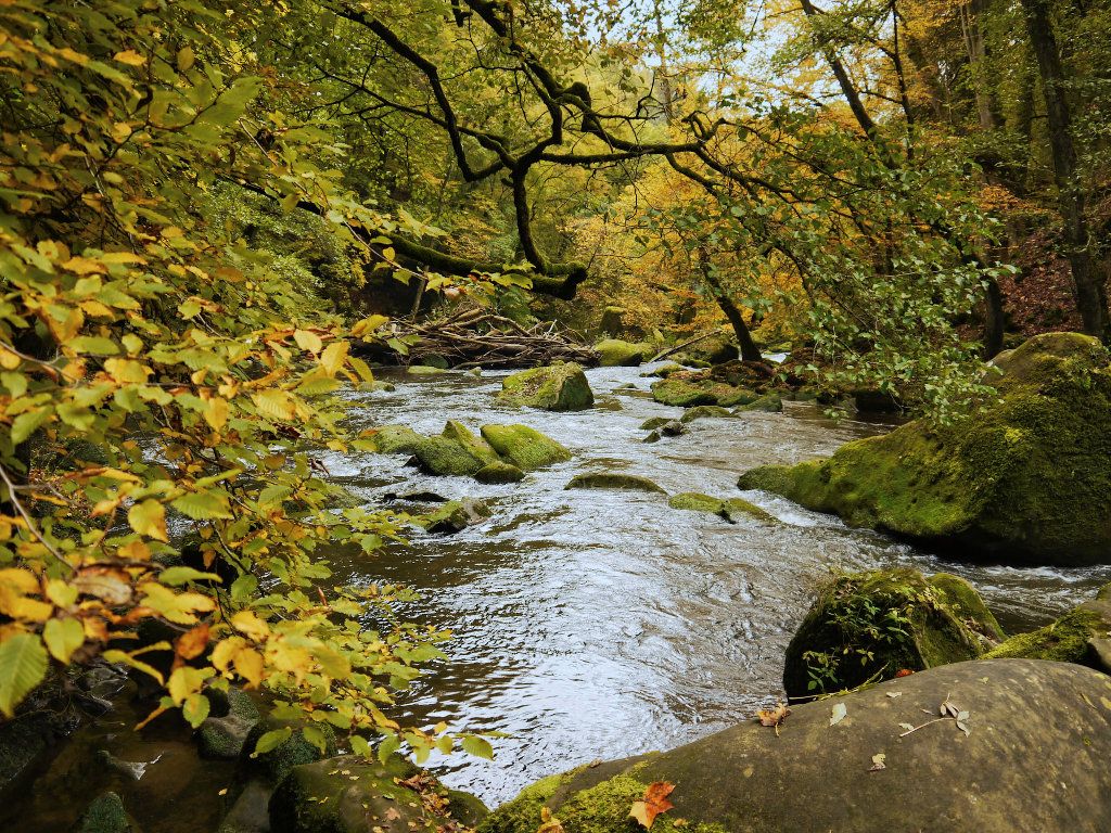 Eifel im Herbst