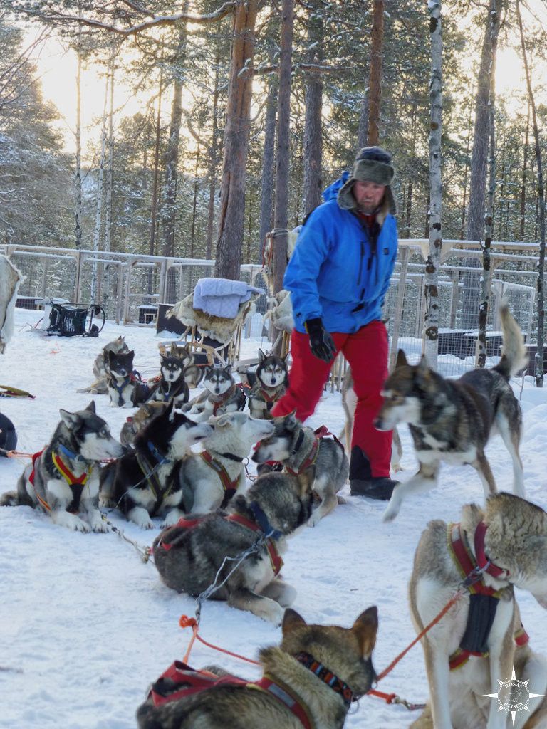 Pekka und seine Hunde
