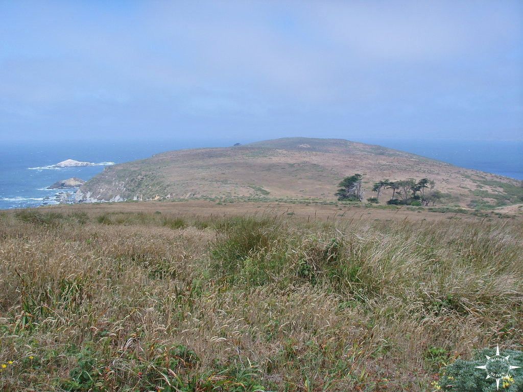 Point Reyes (13)