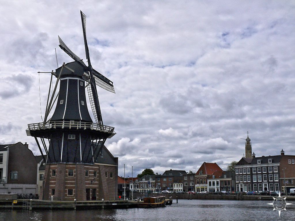 Ausflug Holland Niederlande Haarlem