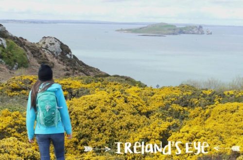 Irland Reise Dublin Ausflug Ireland's Eye