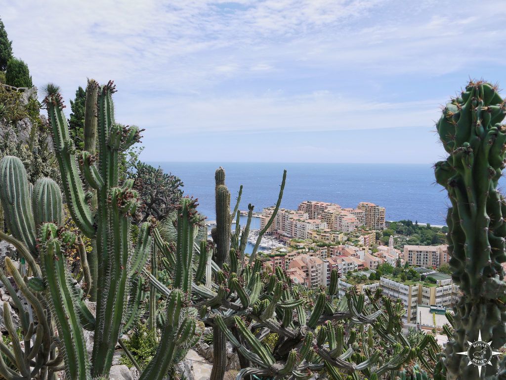 monte-carlo-monaco-botanischer-garten (2)