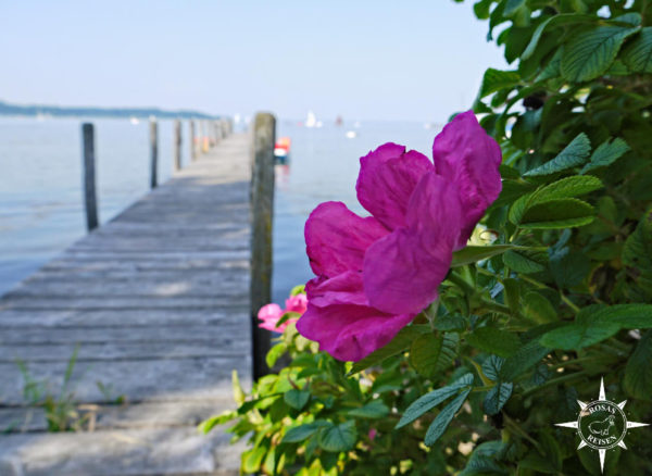 Radtour Chiemsee