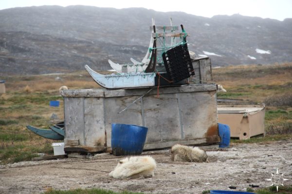 Groenland-Rosas-Reisen-Hundeschlitten