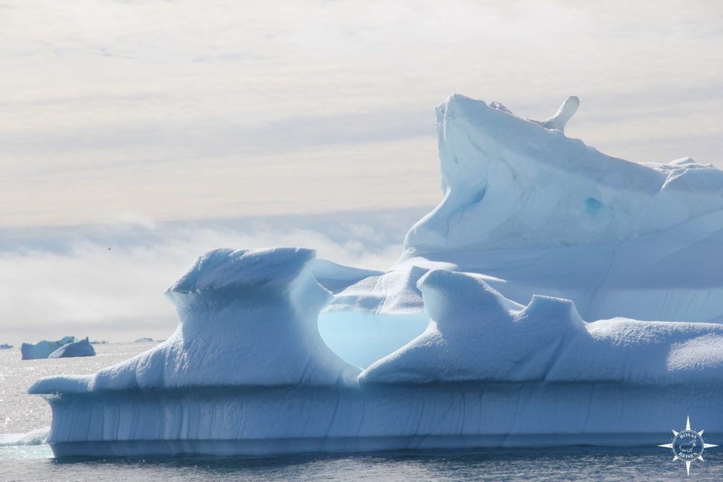 Groenland-Rosas-Reisen-Qeqertarsuaq