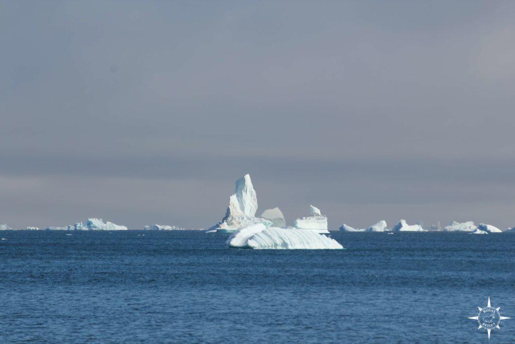 Groenland-Rosas-Reisen-Qeqertarsuaq