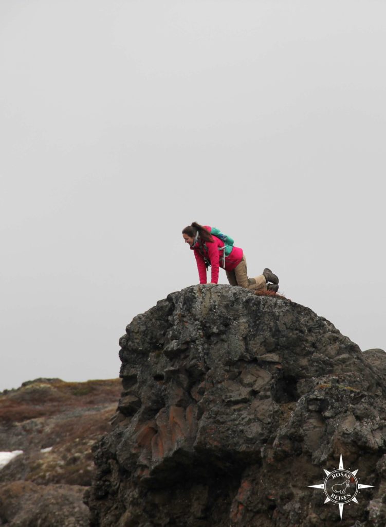 Groenland-Rosas-Reisen-Qeqertarsuaq