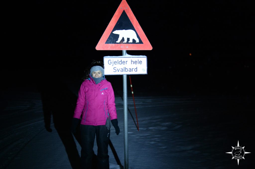 rosas-reisen-spitzbergen-svalbard-eisbaeren