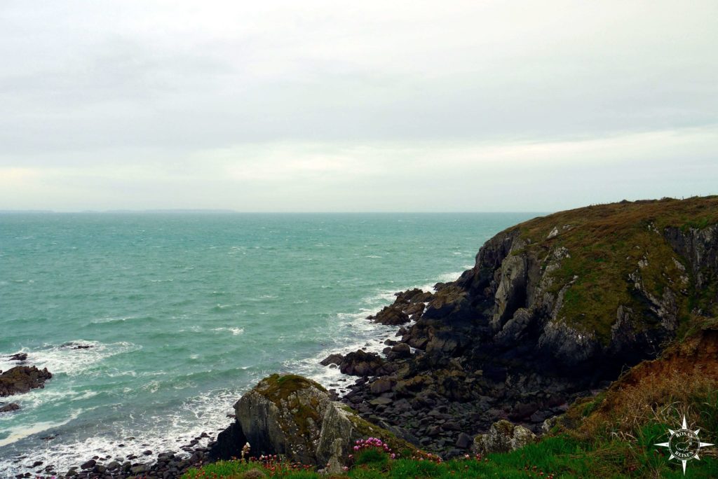 Rosas-Reisen-Roadtrip-Wales-Kuestenwanderung-St-Davids (4)