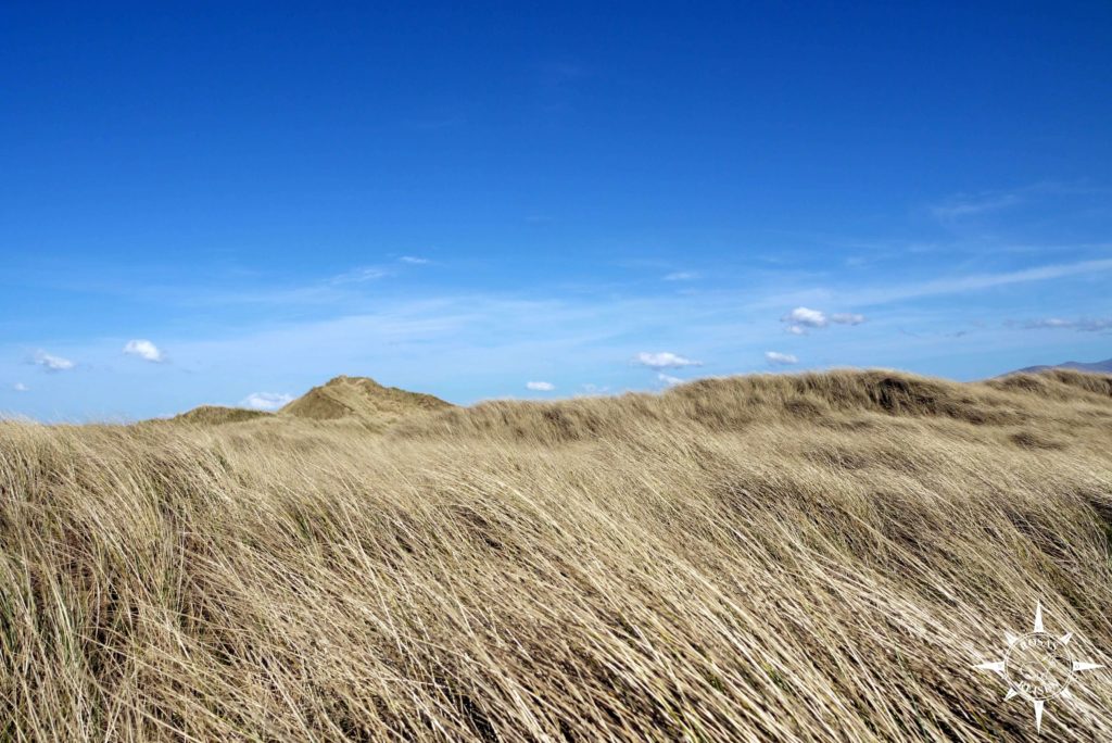 Wales-Rosas-Reisen-Roadtrip-Anglesey-Ynys-Llanddwyn (41)