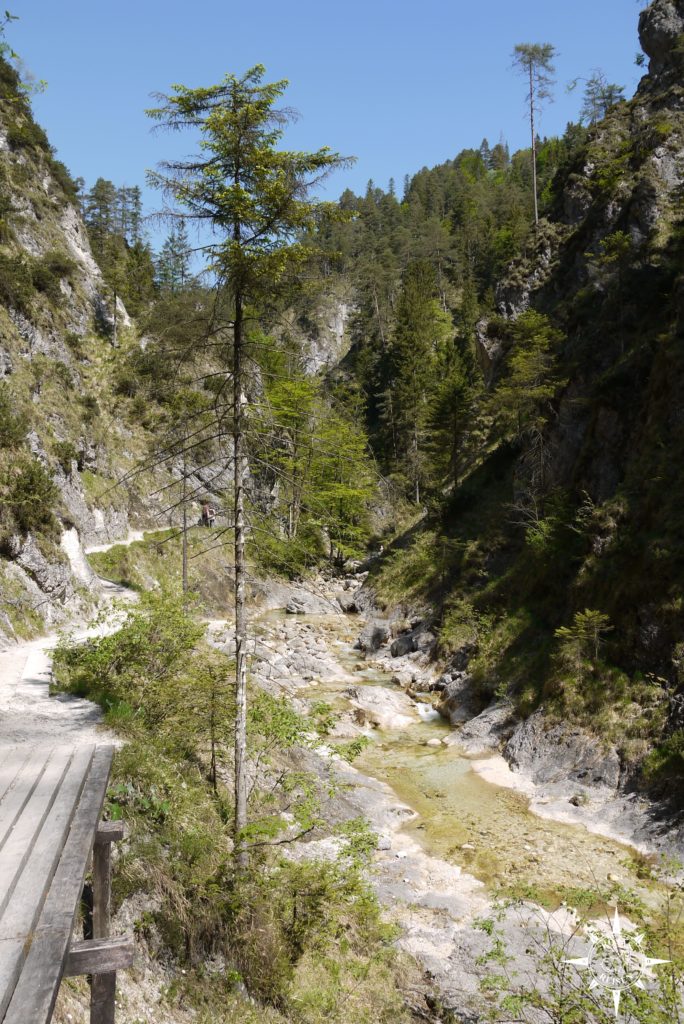 Rosas-Reisen-Almbachklamm-Ettenberg-Berchtesgadener-Land (4)