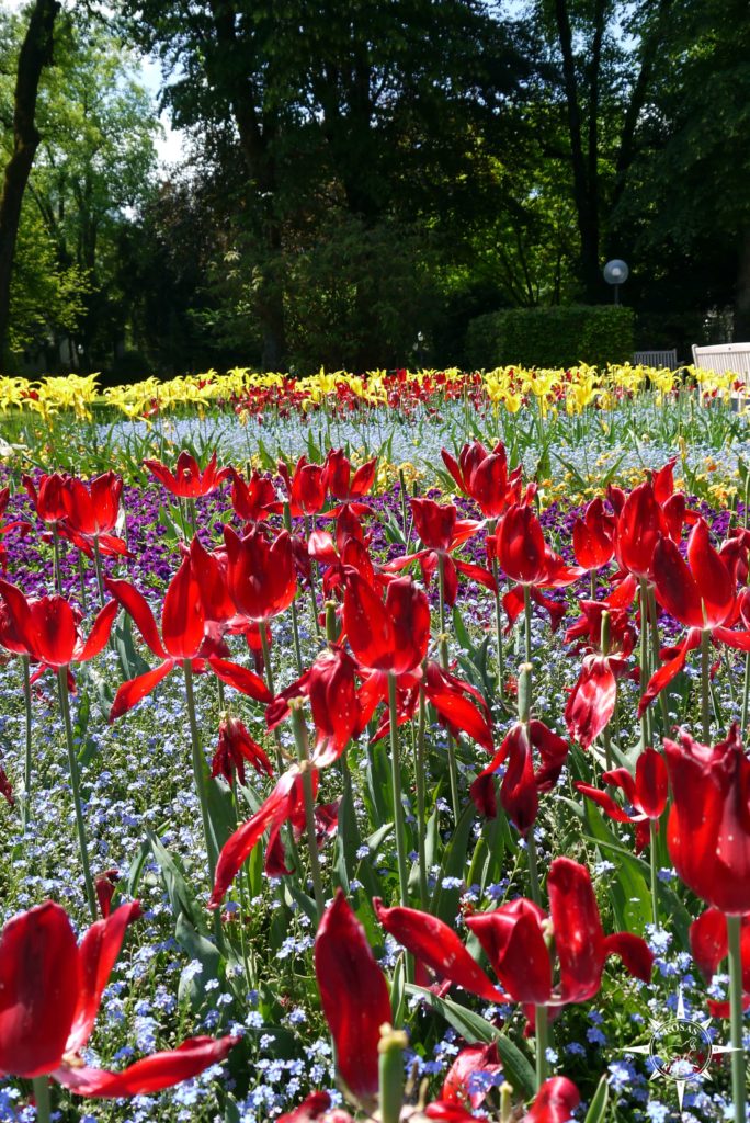 Rosas-Reisen-Bad-Reichenhall-Kurpark