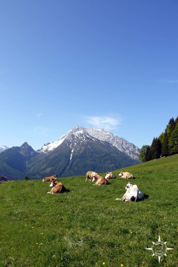 Rosas-Reisen-Berchtesgadener-Land-Hochschwarzeck-Bayern