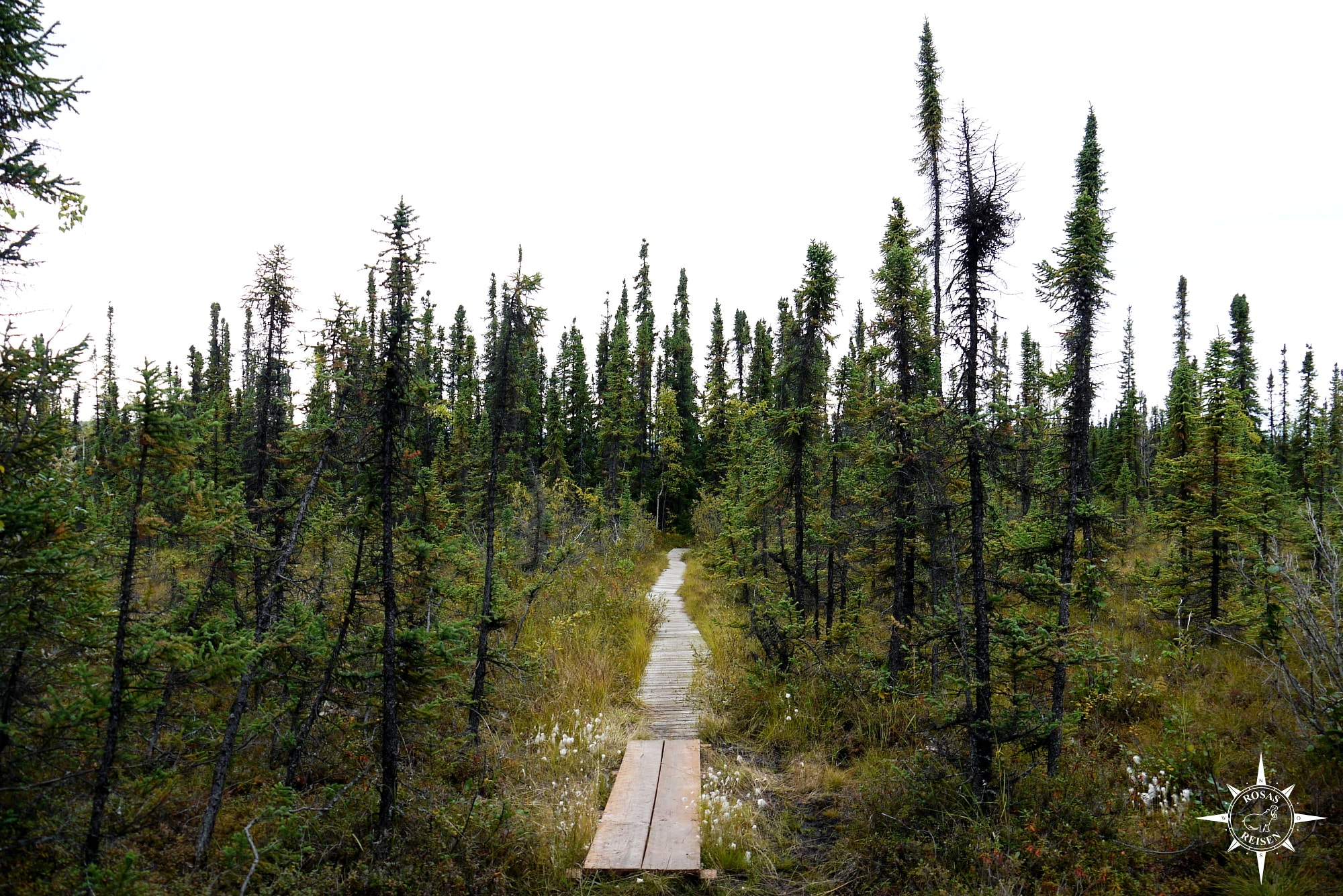 Rosas-Reisen-Roadtrip-Kanada-Alaska-Hidden-Lake-Trail