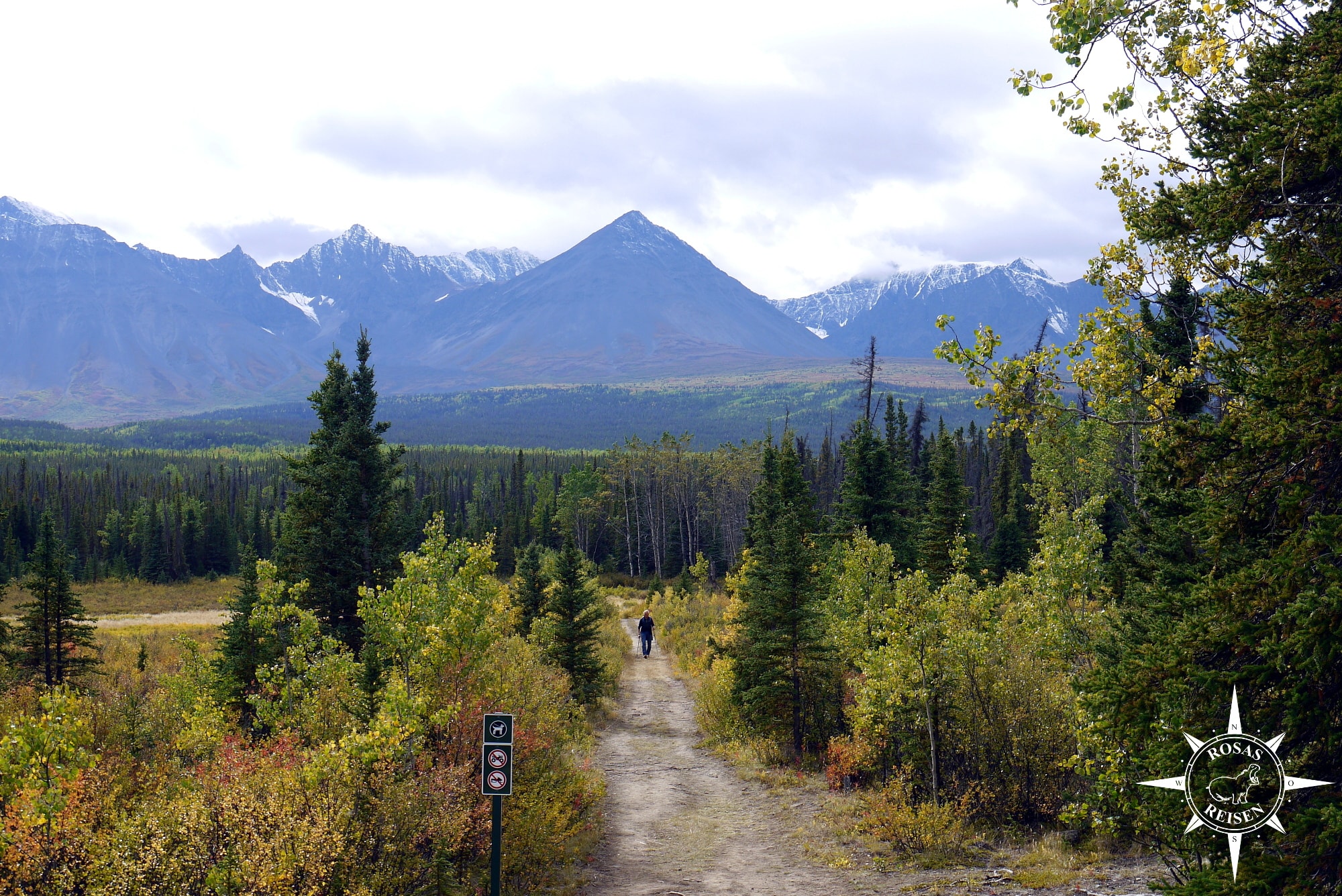 Roadtrip-Kanada-Alaska-Rosas-Reisen-Wanderung-Auriol-Trail