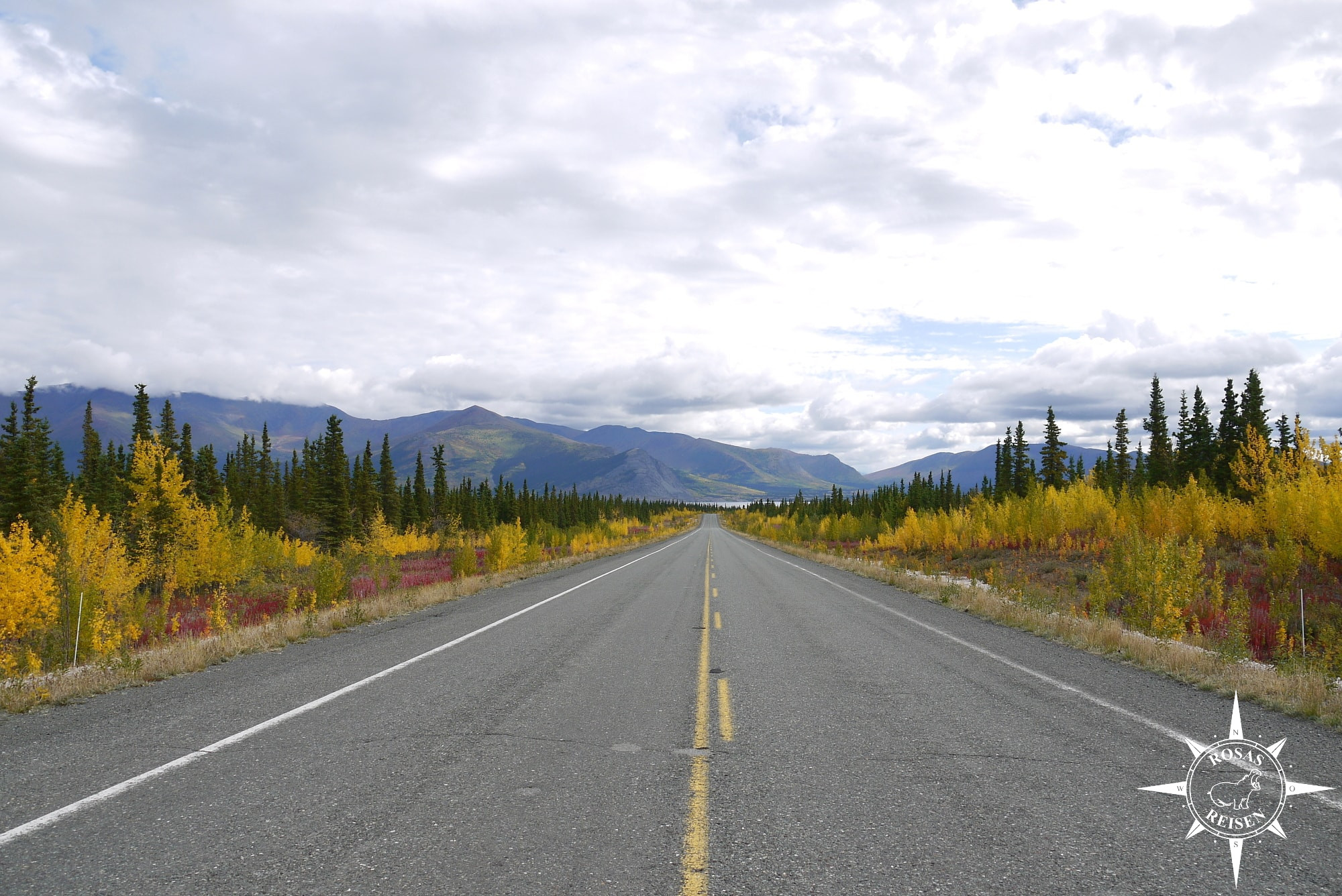 Rosas-Reisen-Roadtrip-Kanada-Alaska-Highway