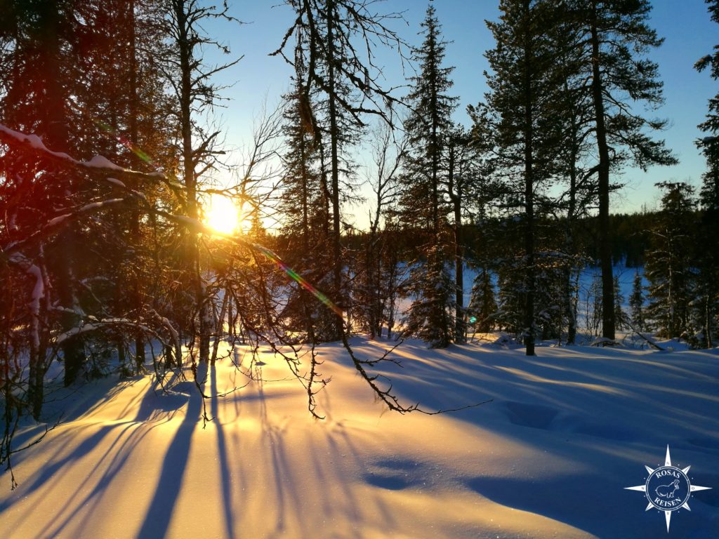 Akaskero-Rosas-Reisen-Finnland-Lappland-Wildnistour-Hundeschlitten-Schlittenhunde-Huskies