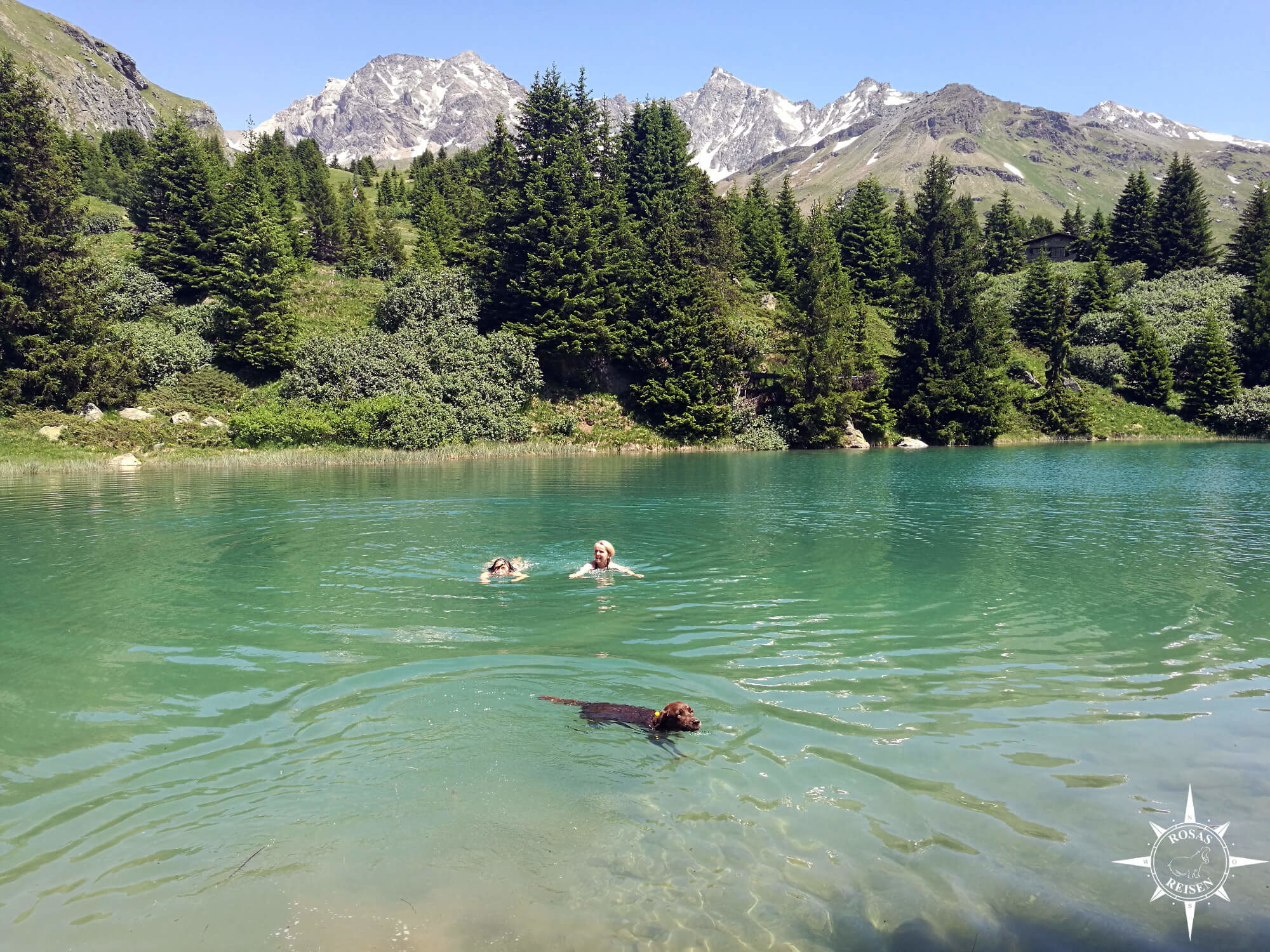 Alp-Flix-Alpen-Schweiz-Rosas-Reisen-See-Hund