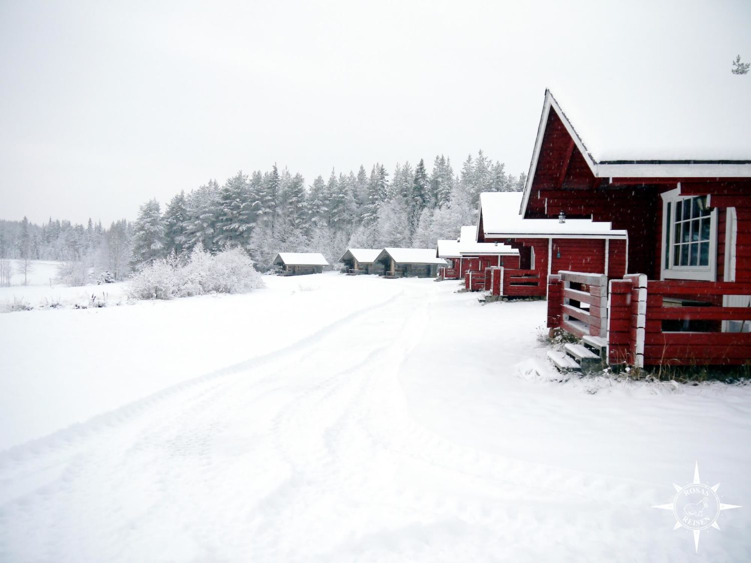 Rosas-Reisen-Farmstay-Finnland-Auslandsaufenthalt