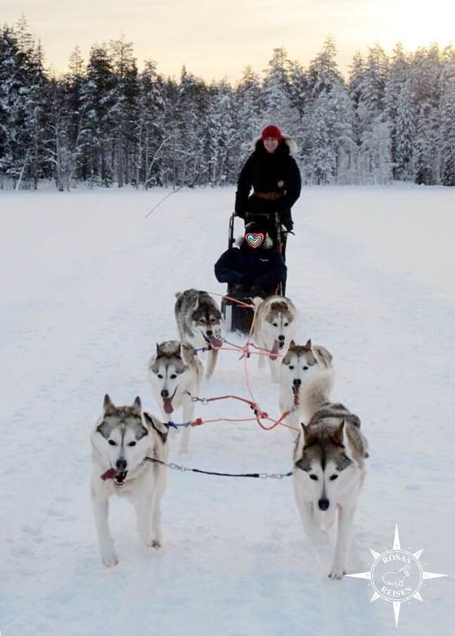 Rosas-Reisen-Reiseblog-Farmstay-Finnland-Schlittenhunde-Arktis-Huskys