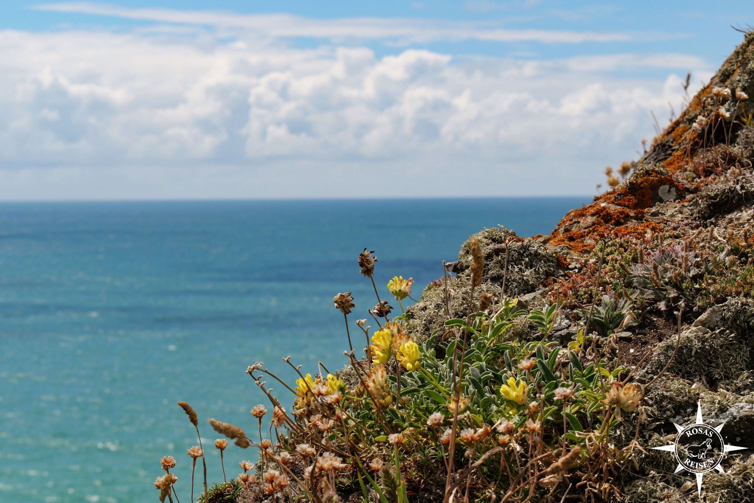 Rosas-Reisen-Cornwall-Meer