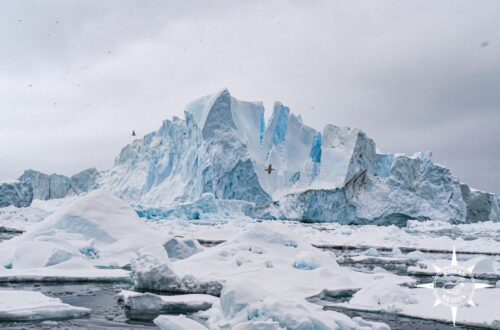 Groenland-Greenland-Ilulissat-Eisberge (32)