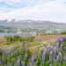 Roadtrip-Island-Akureyri-Tipps-Aussichtspunkt