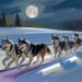 Rosas-Reisen-Serum-Run-to-Nome-Schlittenhunde-Alaska